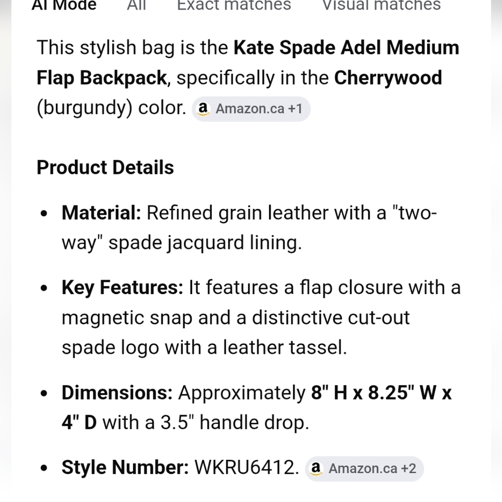 Kate Spade Burgundy Leather Backpack ( New With Tags ) - Picture 14 of 14